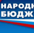 Отбор инициативных проектов "Народный бюджет" - Тоцкий район