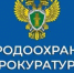 Оренбургской природоохранной межрайонной прокуратурой в 2025 году выявлено свыше 500 нарушений экологического законодательства на территории Центрального и Западного Оренбуржья. - Тоцкий район